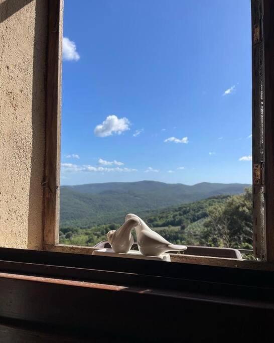 Casa Incantevole In Mezzo Natura * Sassa (Tuscany)